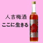 ここに生きる　アイコン